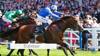 Invincible Spirit Immortalised