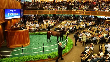 e5 Racing Bought Rushing Fall at Saratoga: Where Will You Be?