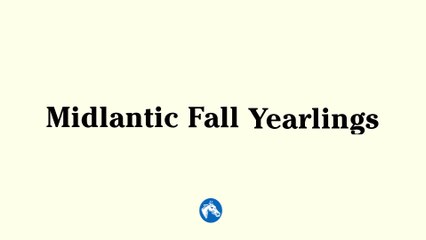 Fasig-Tipton Midlantic Fall Yearlings
