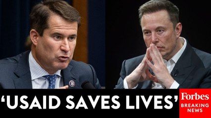 'Has No Idea What He's Doing': Seth Moulton Blasts Elon Musk Over USAID Cuts