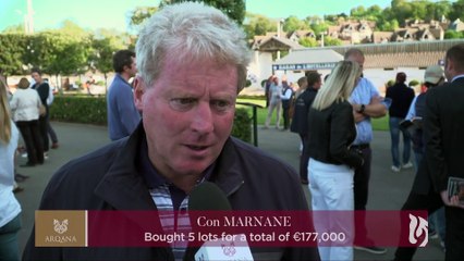 Arqana August V2 Sale Review
