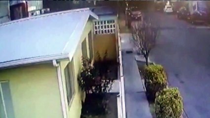 b'Vaddeo flagra momento em pa1ssaros caem mortos no norte do Ma9xico'