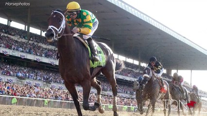 First-Crop Sire Palace Malice, Mike Ryan and Structor