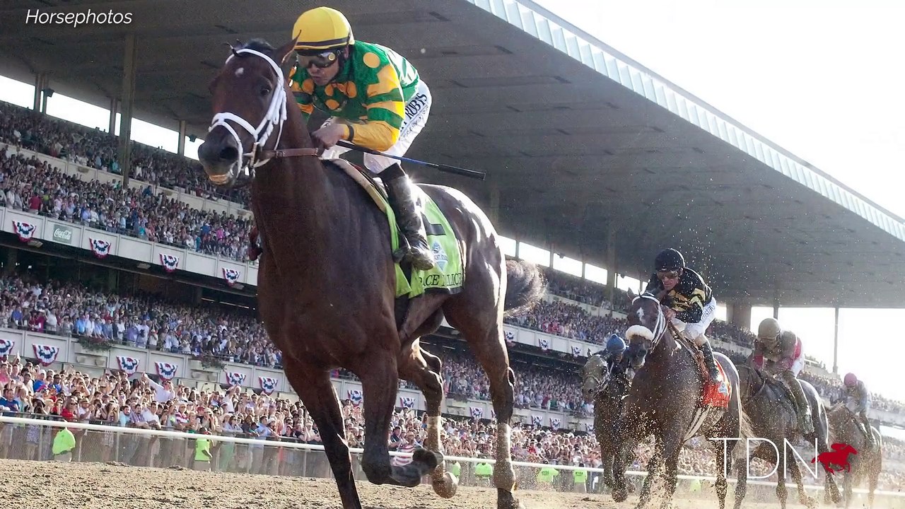 First-Crop Sire Palace Malice, Mike Ryan and Structor