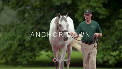Anchor Down: Brilliantly Fast, Brilliantly Bred