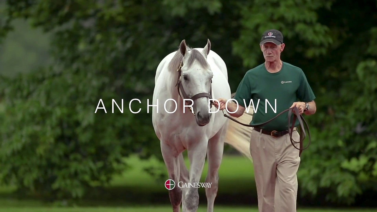 Anchor Down: Brilliantly Fast, Brilliantly Bred