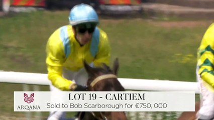 Flop Shot Headed to Chad Brown from the Arqana Arc Sale