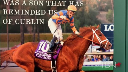 Meet Spendthrift's New Breeders' Cup Champs