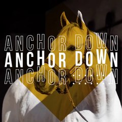 Gainesway-Anchor Down. 2020.
