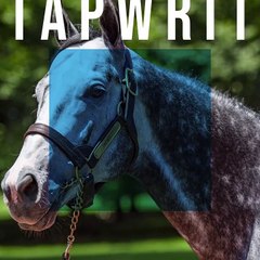 Gainesway-Tapwrit. 2020.