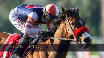 Secret Spice: Selling at Fasig Tipton November