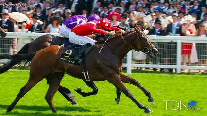 Le Brivido Joins Overbury Stud