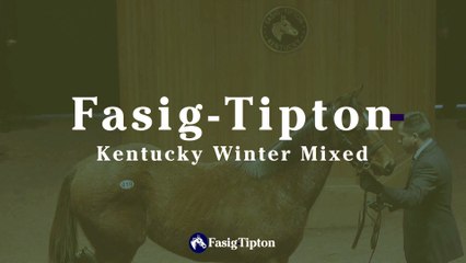 Fasig-Tipton Kentucky Winter Mixed 2020