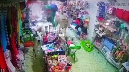 b'vaca invade loja em castanhal'