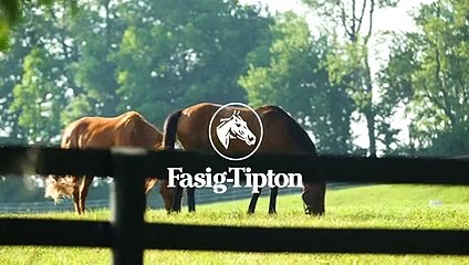 Fasig-Tipton: Supporting Buyers and Sellers Since 1898