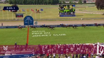 The Year that Was: 2019 at Arqana