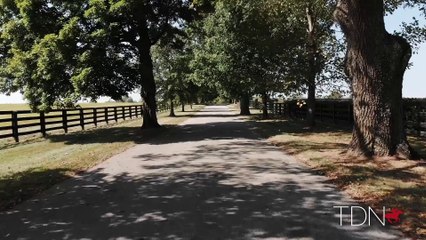 Take a Virtual Tour of Spendthrift Farm