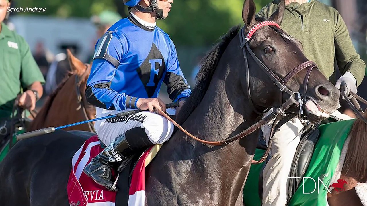 Ramon Dominguez: His Post-Riding Life