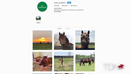 Virtual Tour of the Lane's End Stallion Barn