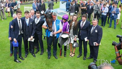 TDN New Stallions: Ten Sovereigns