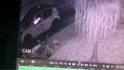 b'Novas imagens mendigo'
