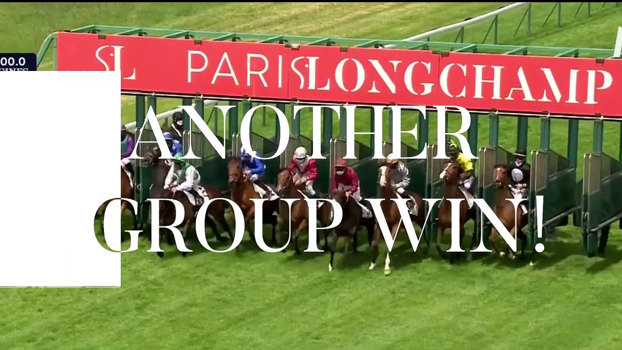 Arqana Breeze Up Sale