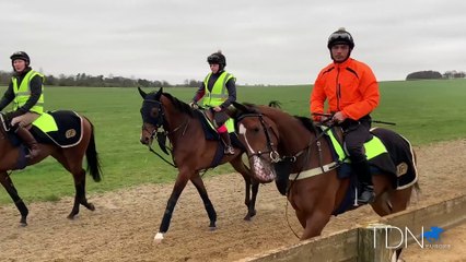 Emma Berry is on Newmarket Heath on Day One of the Ban