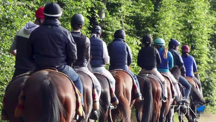 Tour Chantilly with Alix Choppin