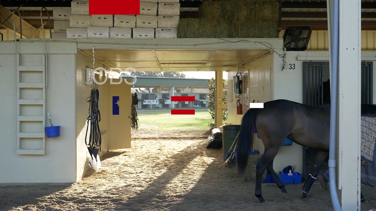 Runhappy-Spring OBS