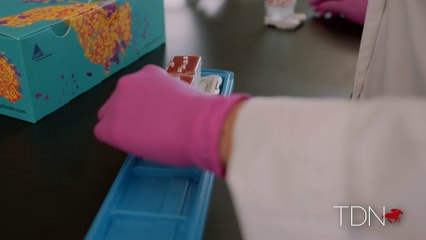 UK Gluck to Develop the Equine Biological Passport