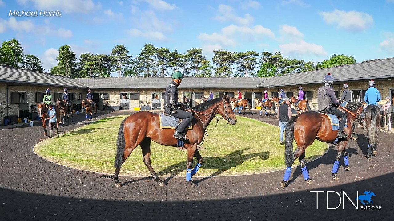 William Knight Back in HQ