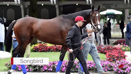 Songbird Celebrates Her Second Mother's Day