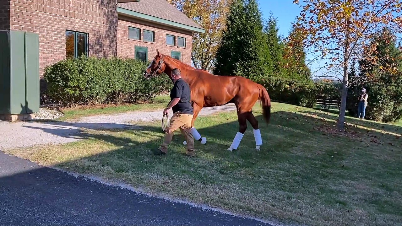 Breeders' Cup Classic Contenders Arrive at WinStar