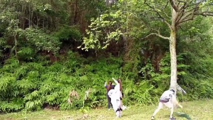 b'video resgate animal'