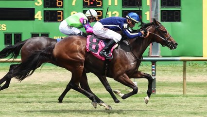 Fasig-Tipton - Abscond