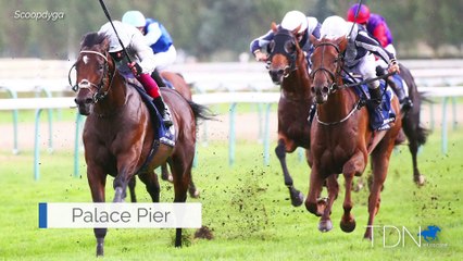 Palace Pier Half A Highlight at Tattersalls