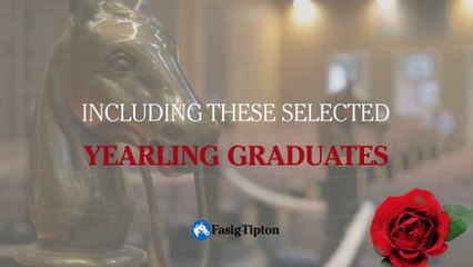 FT Selected Yearling Showcase 2020-2