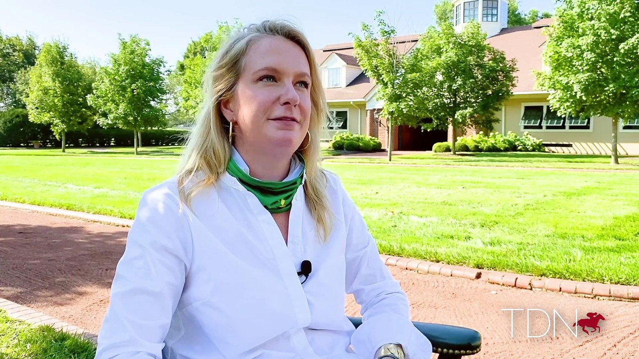 Connect's First Yearlings Take on the Sales