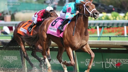 One Last Dance for the Monomoy Girl Partners