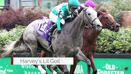 Producer Patty Wolfe Joins the TDN Writers' Room