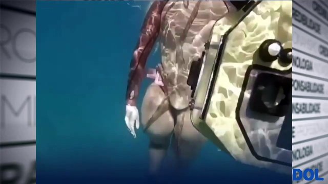 b'Polvos agarram mergulhadores'