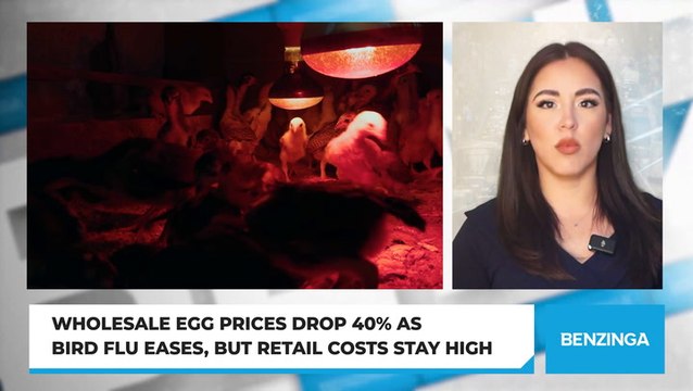 Wholesale Egg Prices Drop 40% as Bird Flu Eases, But Retail Costs Stay High