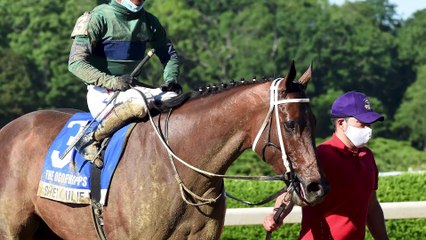 Fasig-Tipton - She's a Julie