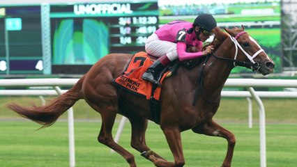 Fasig-Tipton - Got Stormy