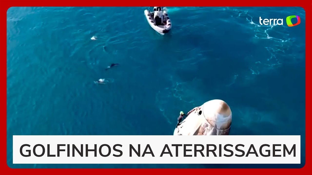 Golfinhos 'recepcionam' chegada de astronautas na costa da Flórida