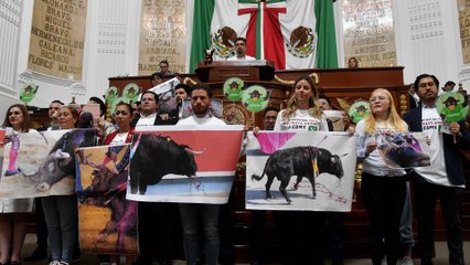 Ciudad de México veta las corridas de toros “con violencia”