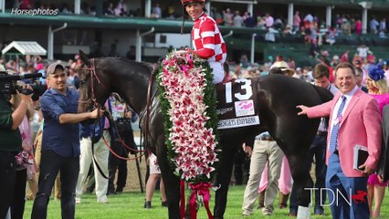 Star Mare Serengeti Empress Comes Home to Taylor Made
