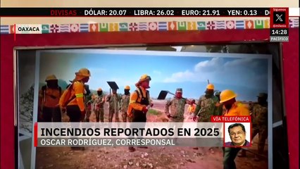 En los primeros tres meses de 2025, se registraron más de 20 incendios forestales en Oaxaca