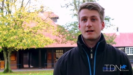 First Foals For Cracksman