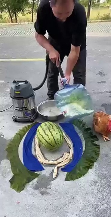 Tengba Vacuum Cleaner - Wet and Dry 3-in-1 Blower - Vacuum Cleaner _0P)